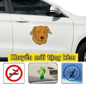 Car in PVC