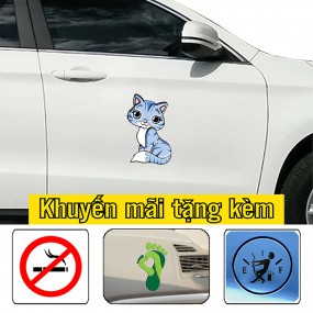 Decal dán sườn xe 4 chỗ