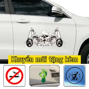 Decal dán sườn xe hơi trang trí