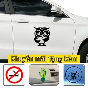 Decal dán sườn xe