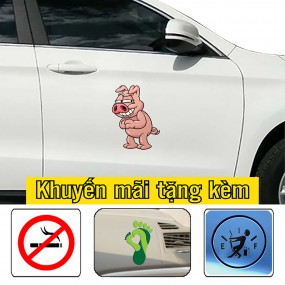 Decal in Car