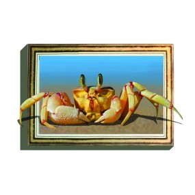Decal trang trí 3D