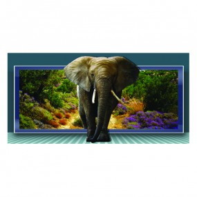 Decal trang trí 3D