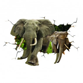Decal trang trí 3D