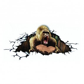Decal trang trí 3D