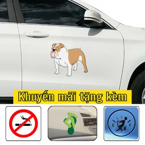 Decal trang trí sườn xe 4 chỗ