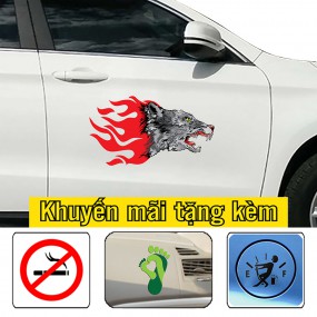 Decal trang trí sườn xe 4 chỗ