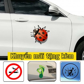Decal trang trí sườn xe 4 chỗ