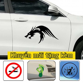 Decal trang trí sườn xe độc đáo