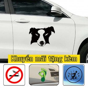 Decal trang trí sườn xe hơi phong cách