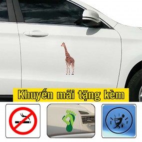 Decal trang trí sườn xe ô tô mới lạ