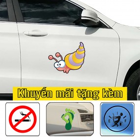 Decal trang trí sườn xe ô tô mới lạ