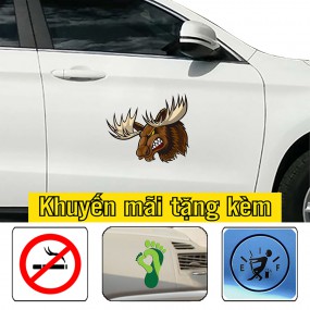 Decal trang trí sườn xe ô tô mới lạ
