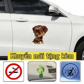 Decal trang trí sườn xe ô tô phong cách