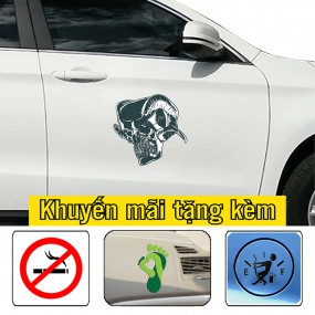 Decal trang trí sườn xe ô tô