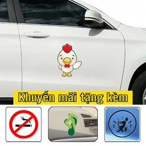 Decal trang trí sườn xe