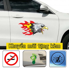 Decal trang trí sườn xe