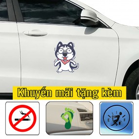 Decal trang trí sườn xe