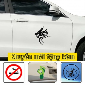 Decal trang trí xe hơi độc đáo