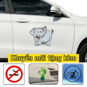 Decal trang trí xe ô tô