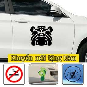 Miếng dán trang trí xe hơi