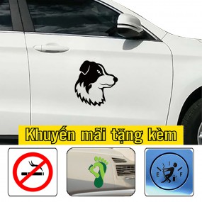 Miếng dán xe ô tô trang trí
