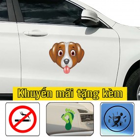Sticker dán sườn xe ô tô
