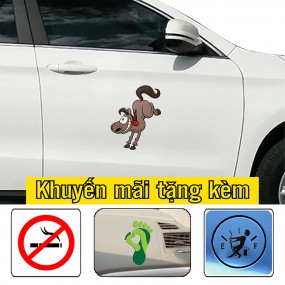 Sticker dán sườn xe