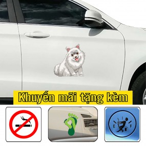 Sticker dán sườn xe