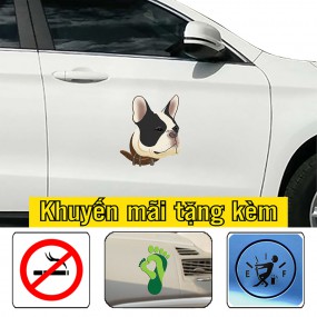 Sticker dán xe hơi phong cách