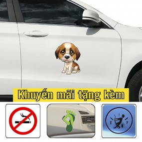 Sticker dán xe hơi phong cách
