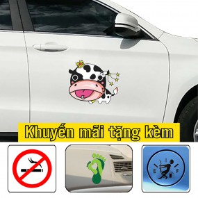 Sticker dán xe hơi trang trí