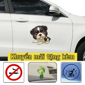 Sticker trang trí sườn xe