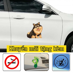 Sticker trang trí xe hơi phong cách