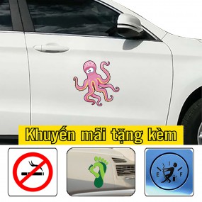 Sticker trang trí xe hơi