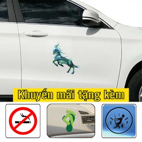 Sticker trang trí xe hơi
