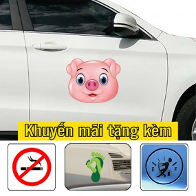 Sticker trang trí xe hơi