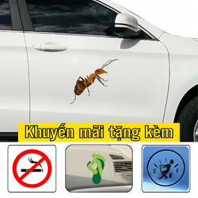 Sticker trang trí xe hơi
