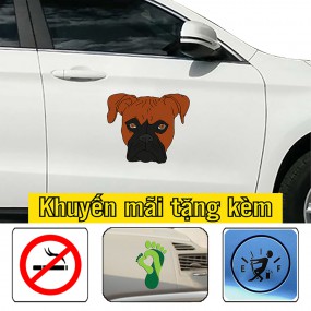 Sticker trang trí xe ô tô độc đáo