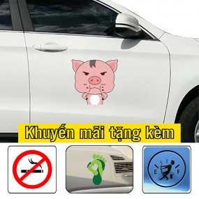 Tem dán sườn xe 4 chỗ