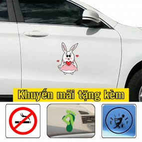 Tem dán sườn xe cao cấp