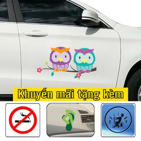 Tem dán sườn xe hơi độc đáo