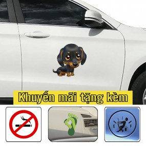 Tem dán sườn xe hơi độc đáo