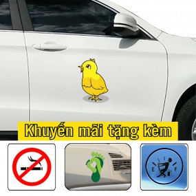 Tem dán sườn xe hơi phong cách