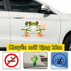 Tem dán sườn xe ô tô cao cấp