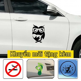 Tem dán sườn xe phong cách