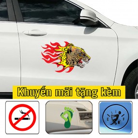 Tem dán sườn xe sedan độc đáo