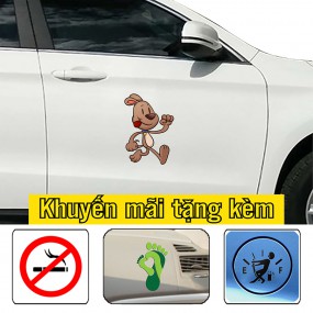 Tem dán sườn xe sedan phong cách