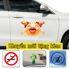 Tem dán xe trang trí phong cách
