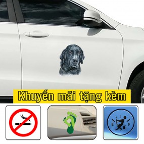 Tem decal trang trí sườn xe hơi đáng yêu